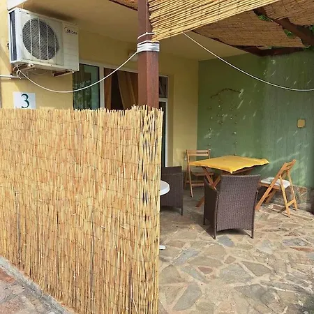 Zone سفيتي فلاس